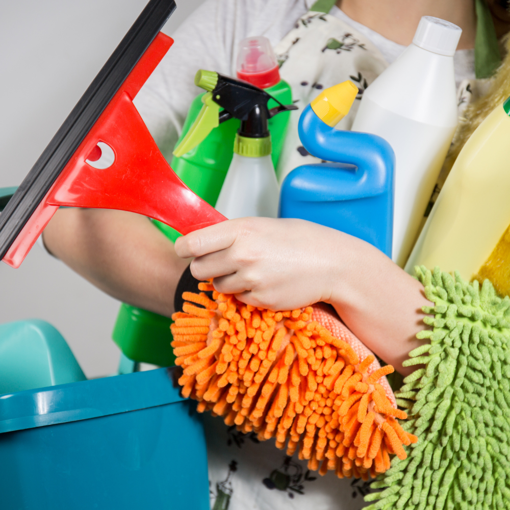 Pulizia - Manutenzione