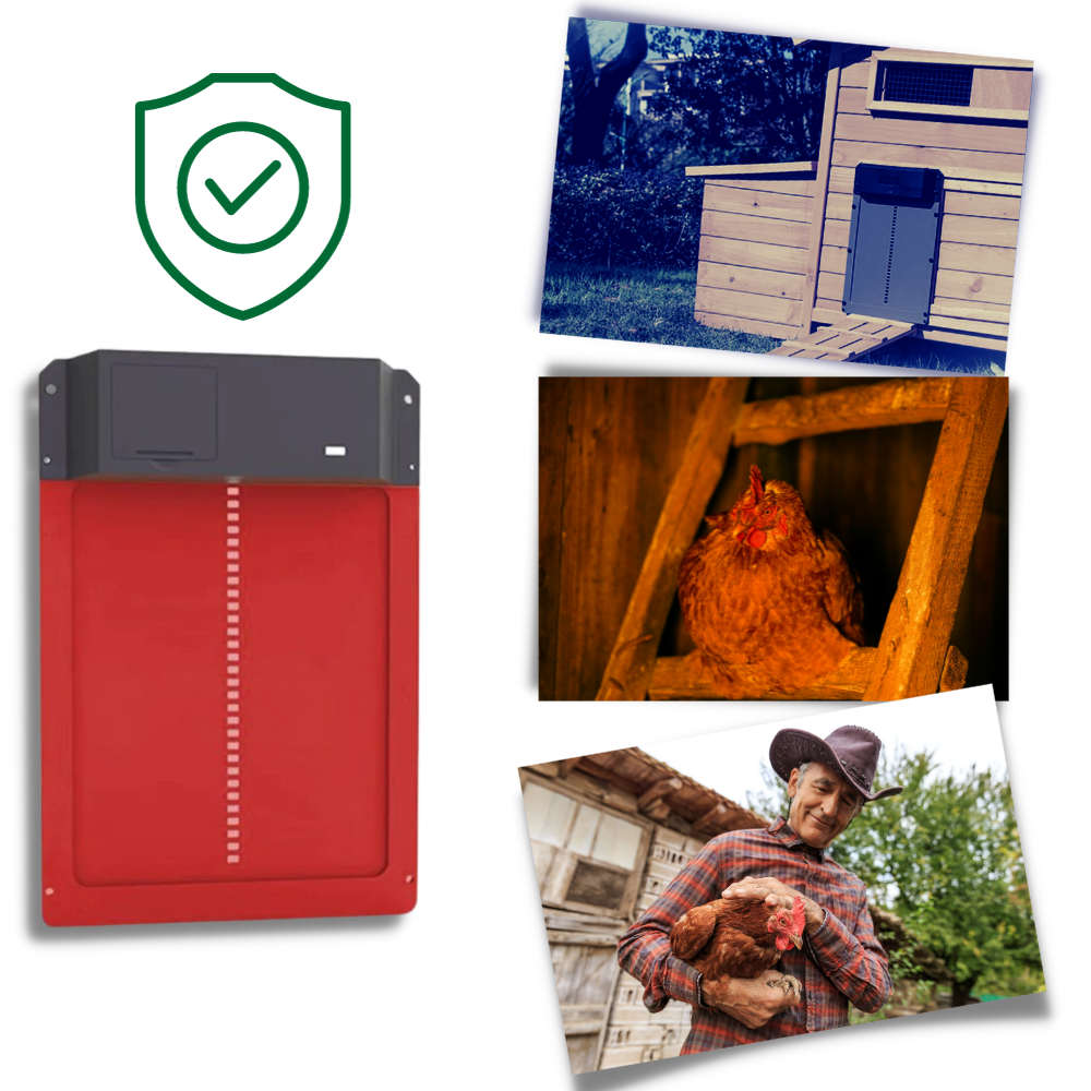 Porta automatica per pollaio - Ozerty