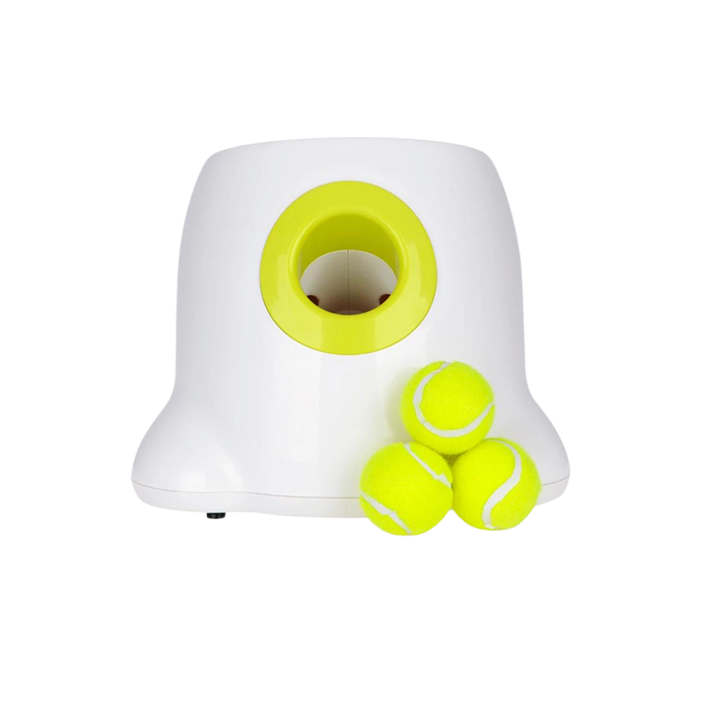 Lanciatore automatico di palline per cani - Ozerty