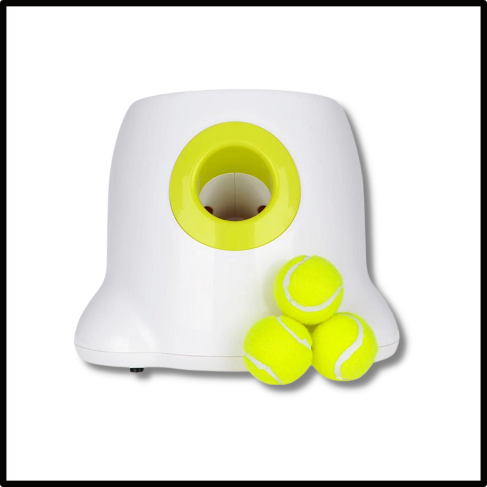 Lanciatore automatico di palline per cani - Ozerty