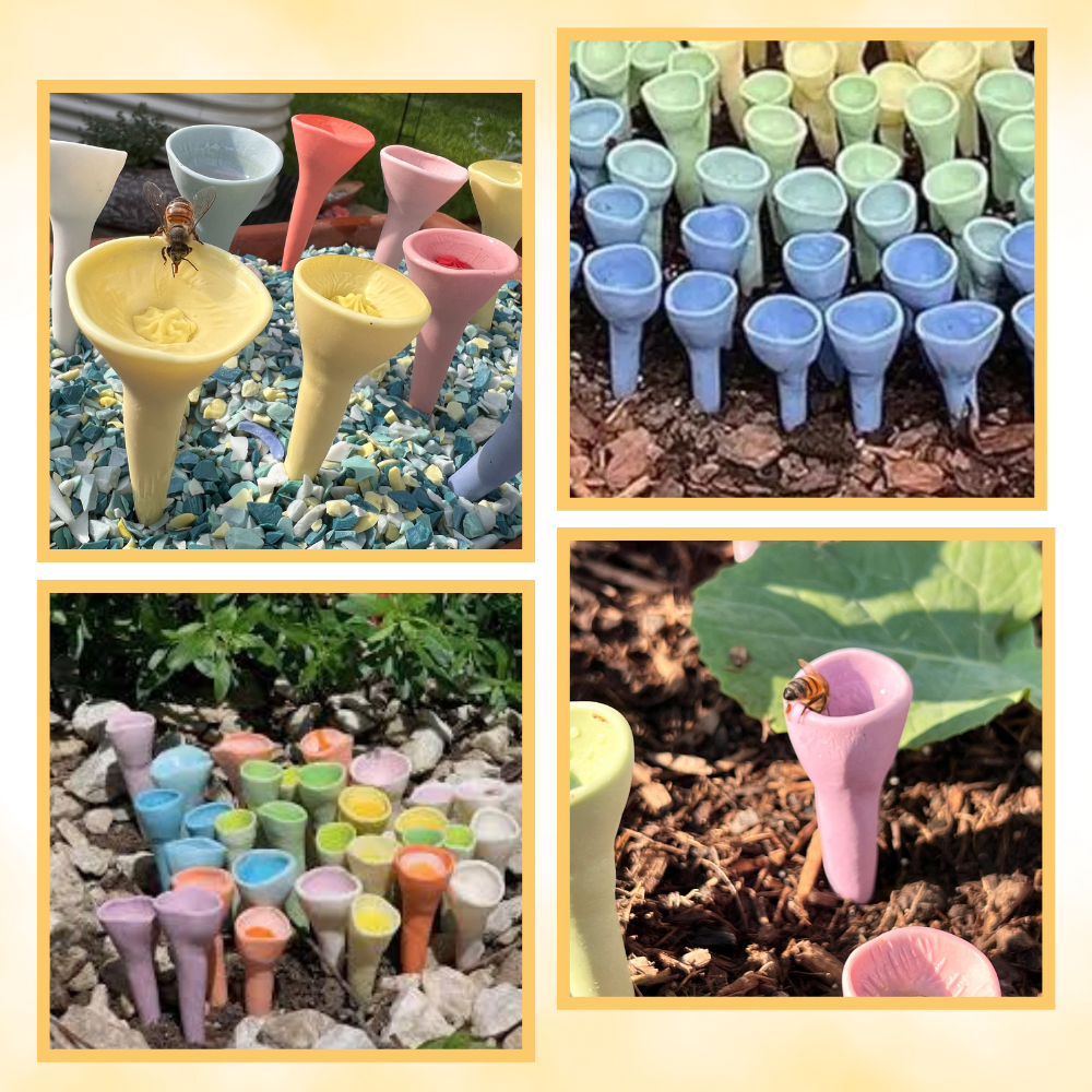 Coppa per api discreta, Attraente e Colorata - Ozerty