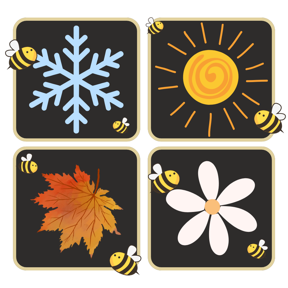 Coppa per api discreta, Attraente e Colorata - Ozerty