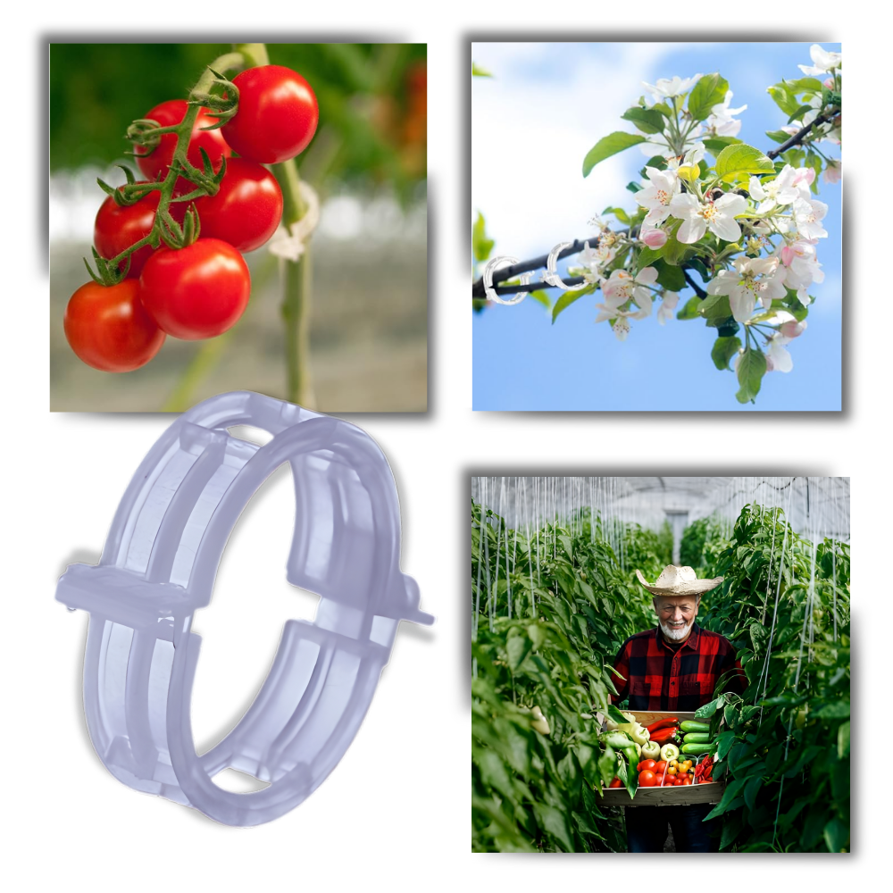 Supporto per piante facile da agganciare - Ozerty