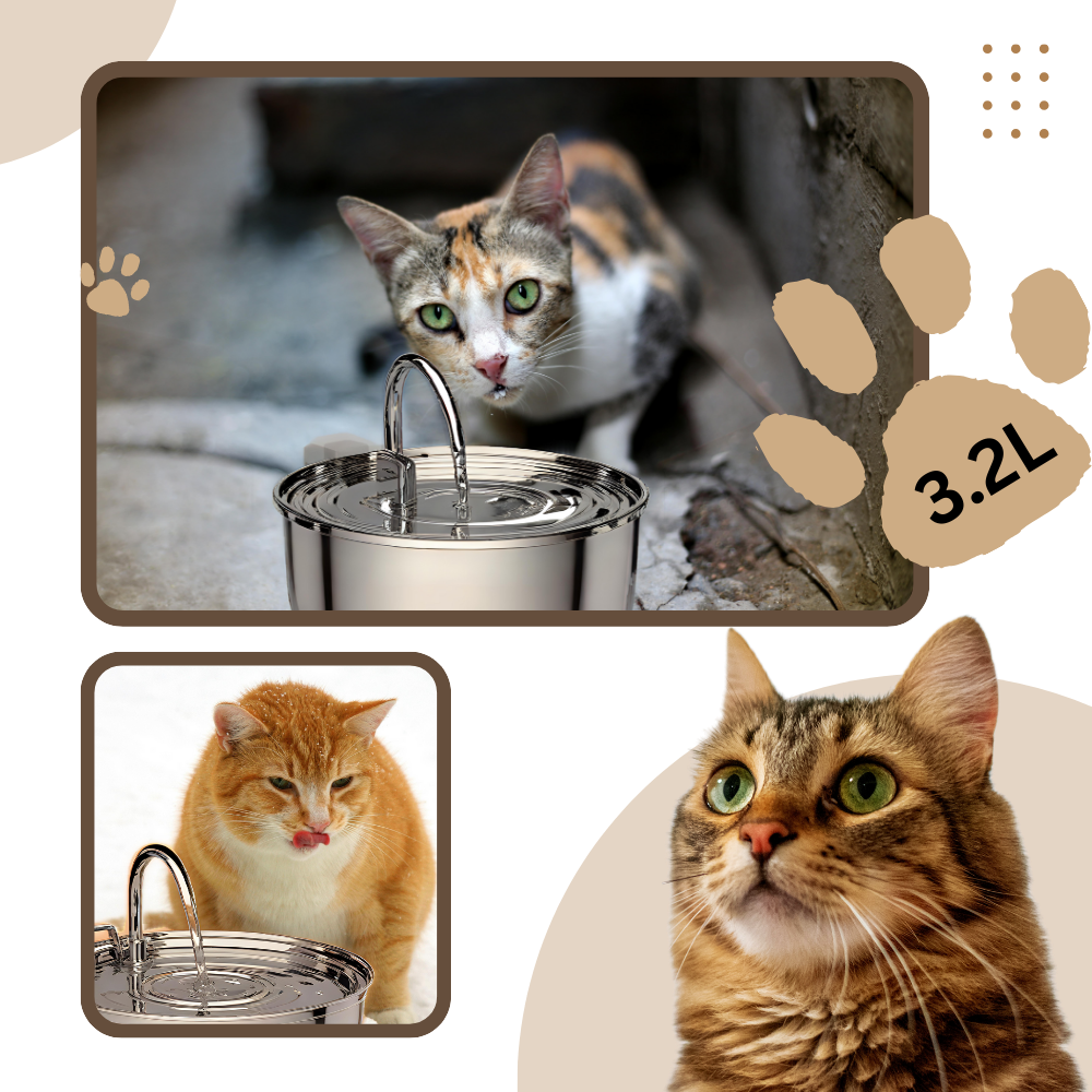 Fontana per gatti di grande capacità - Ozerty