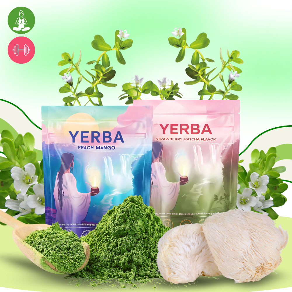 Tè Energetico Matcha & Mate - Ozerty