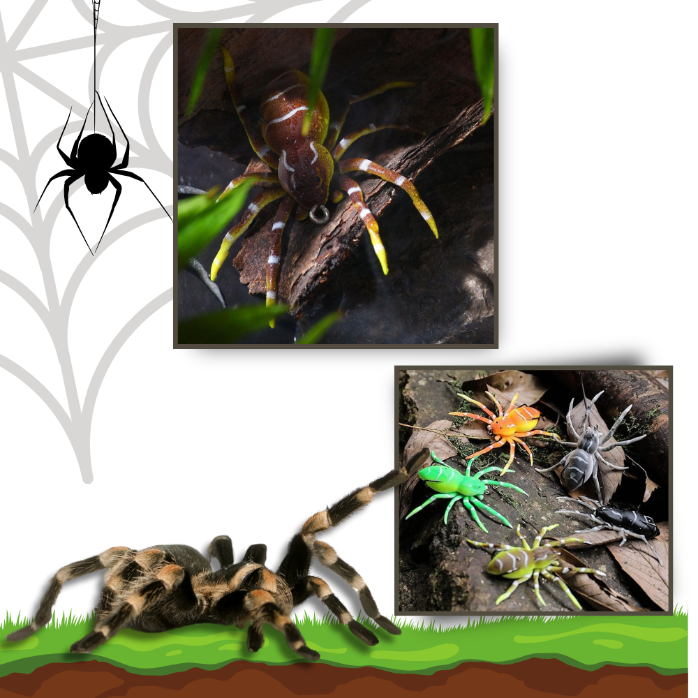 Esche ragno a movimento naturale - Ozerty