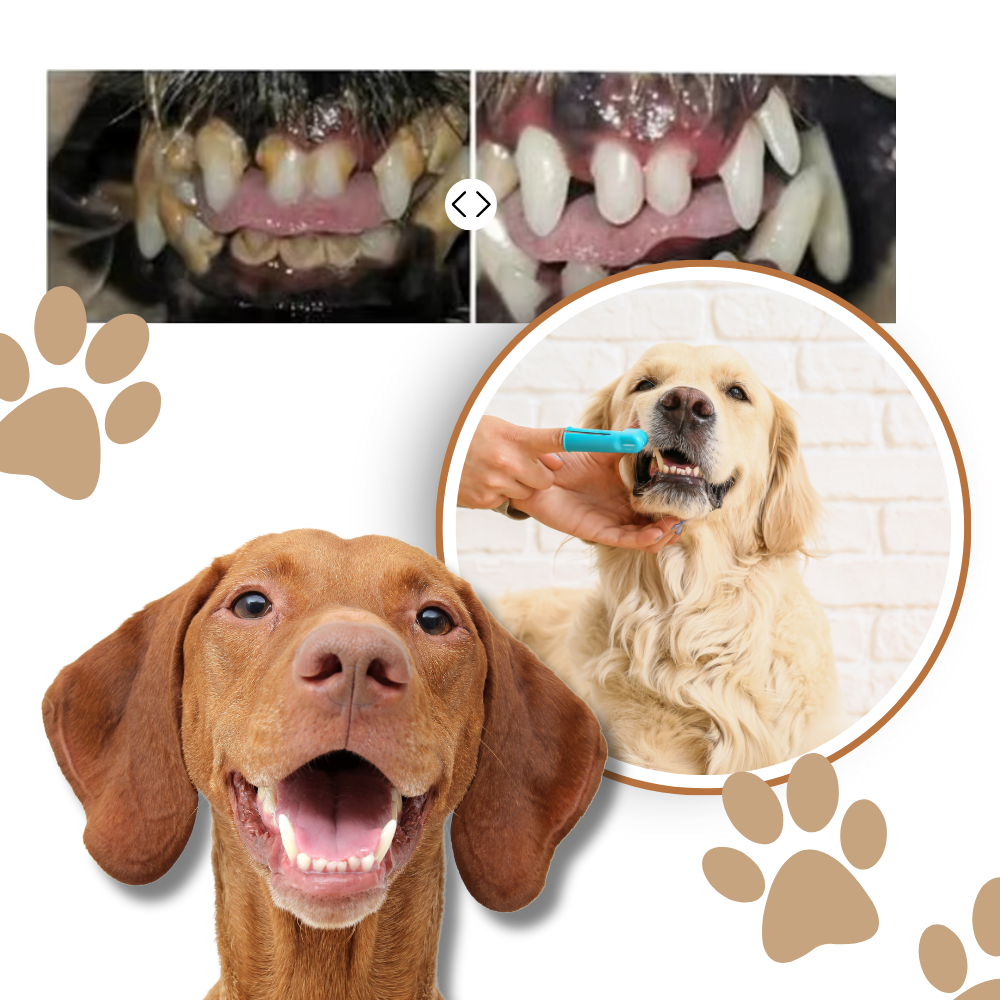 Gel Orale per Animali Domestici - Ozerty