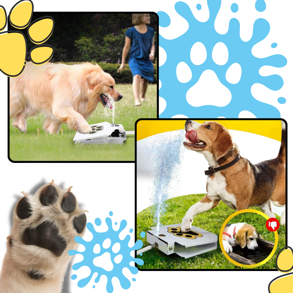Fontana d'acqua per cani con attivazione a pedale - Ozerty