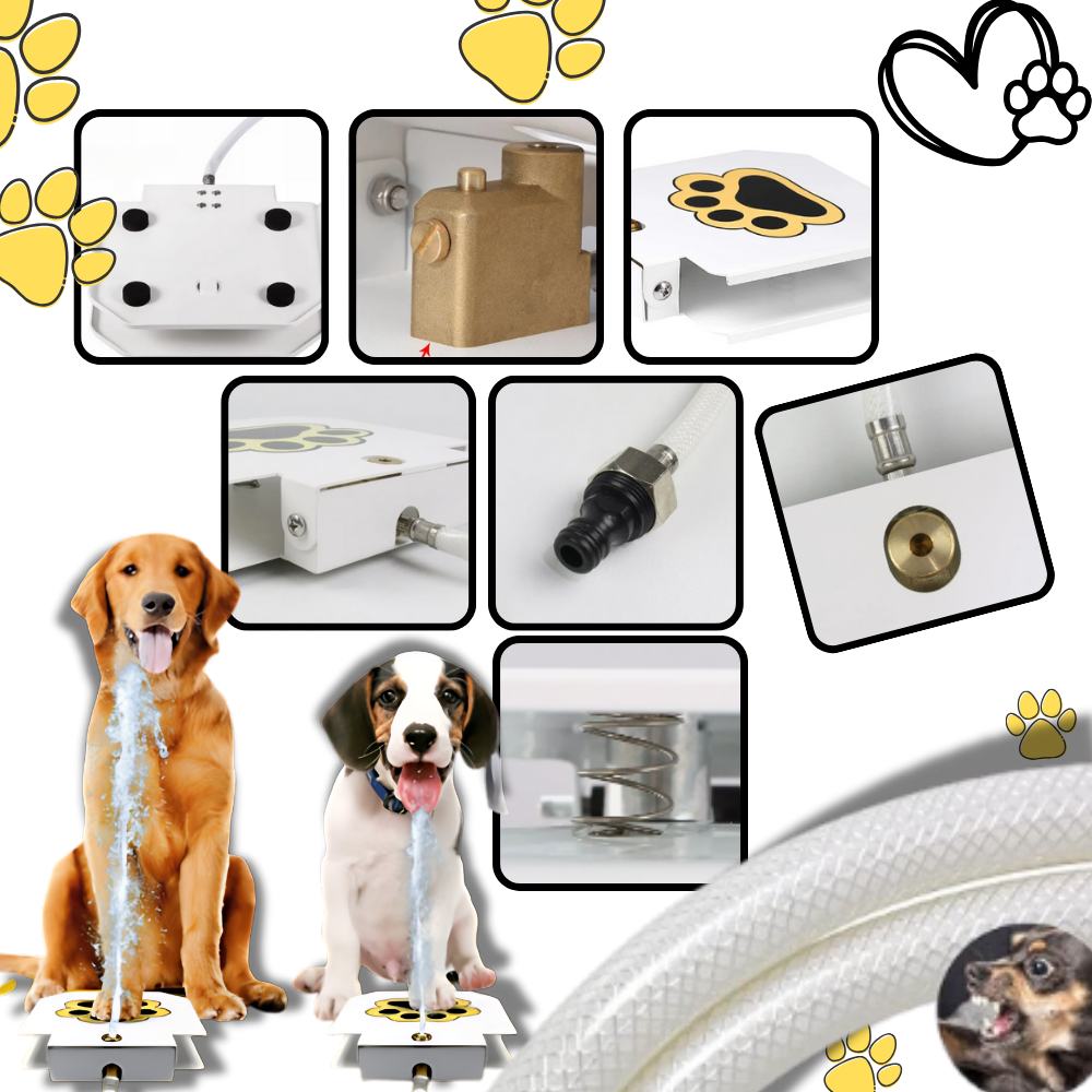 Fontana d'acqua per cani con attivazione a pedale - Ozerty