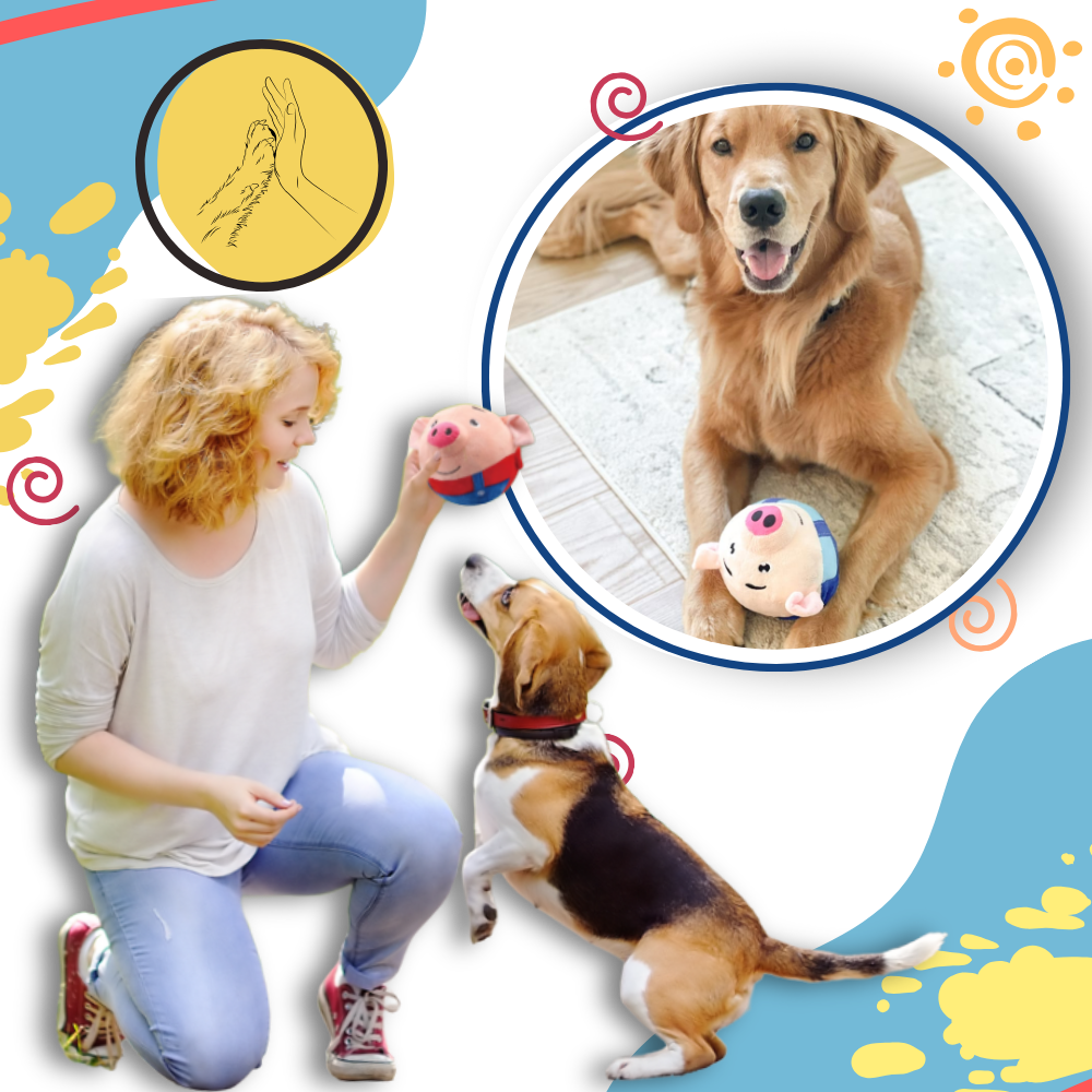 Palla Giocattolo con Sensore per Animali Domestici - Ozerty