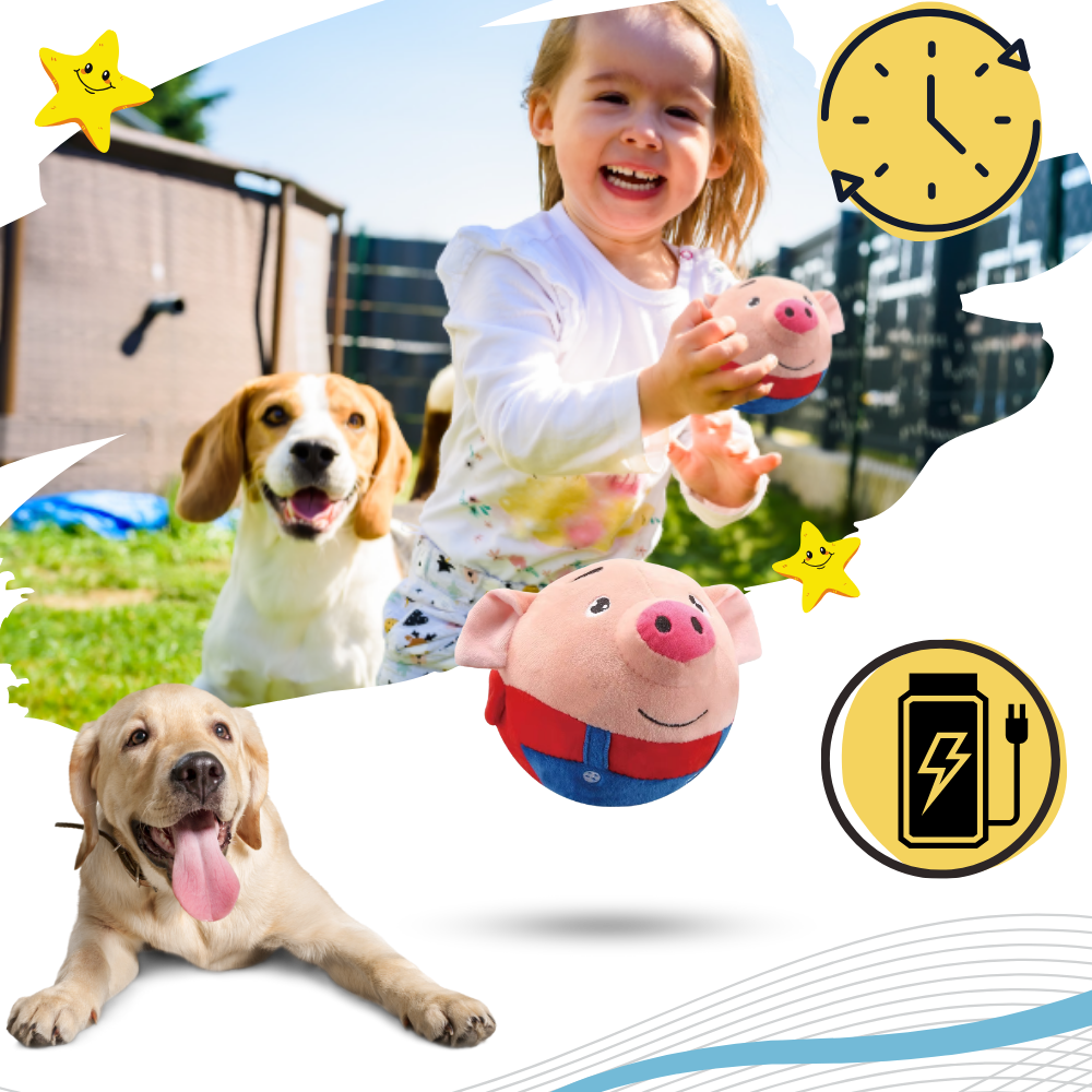 Palla Giocattolo con Sensore per Animali Domestici - Ozerty