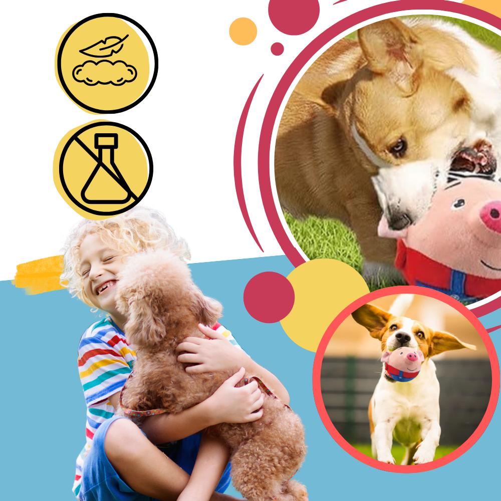 Palla Giocattolo con Sensore per Animali Domestici - Ozerty