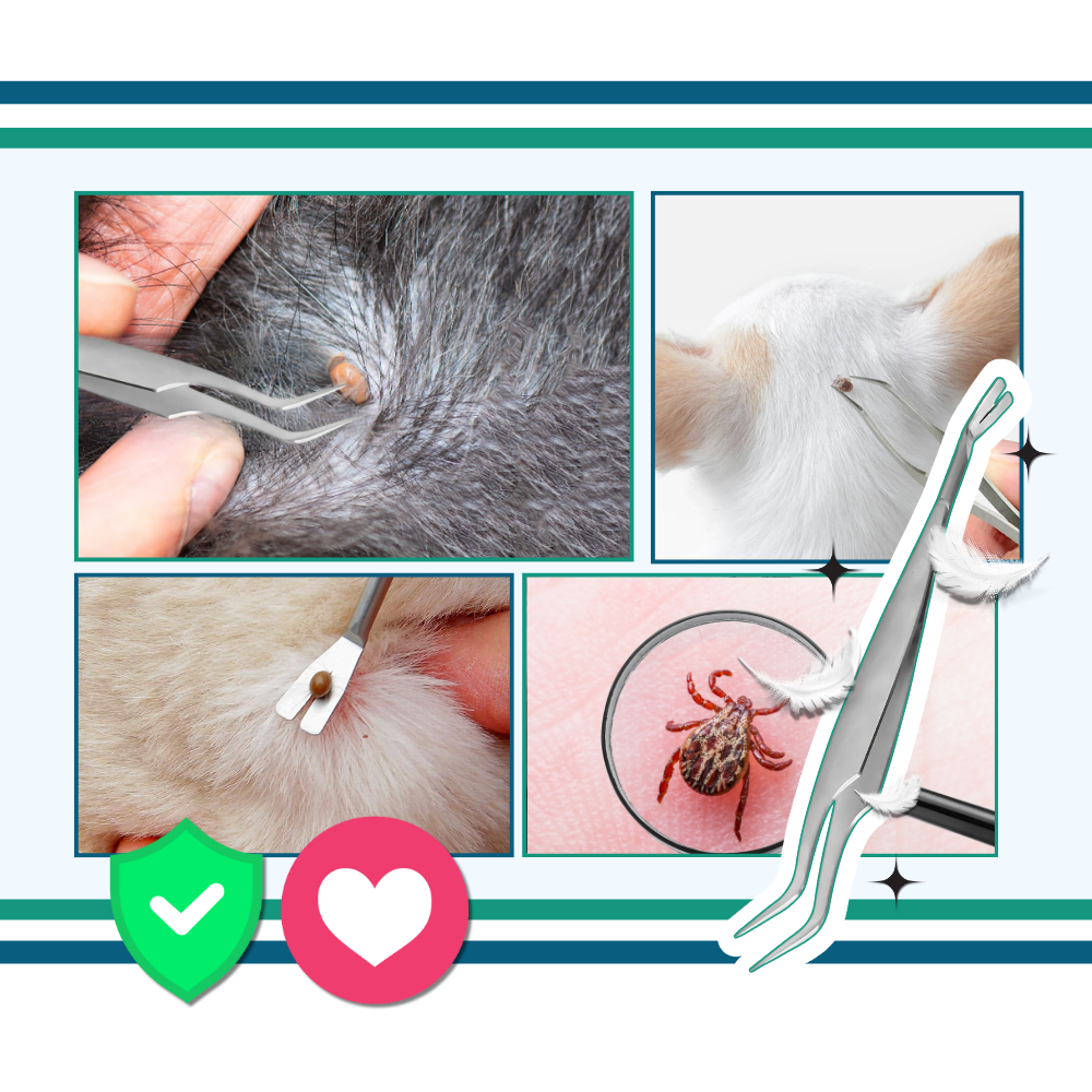 Estrattore di zecche di precisione - Ozerty