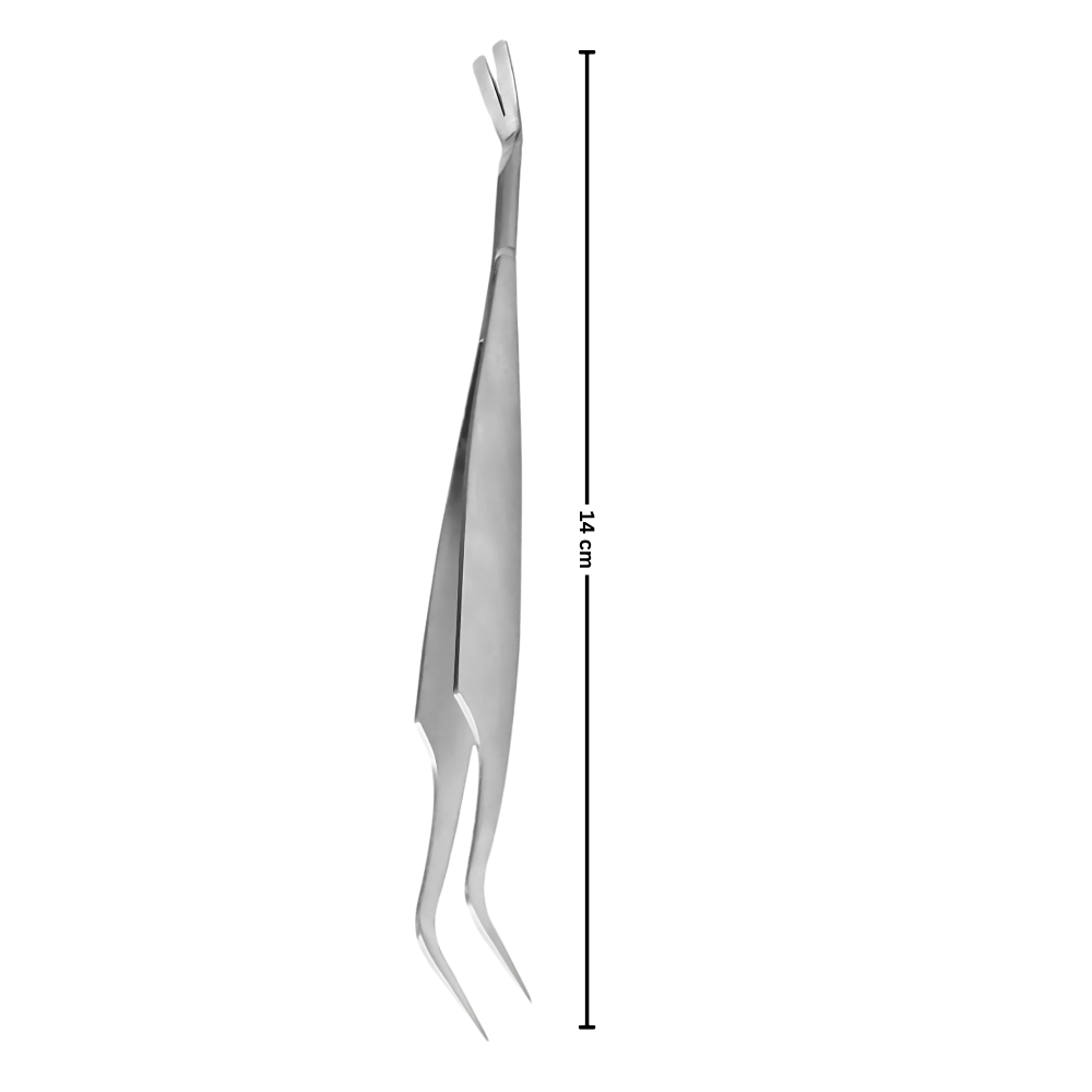 Estrattore di zecche di precisione - Ozerty