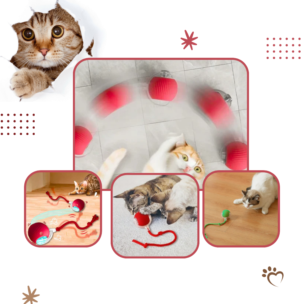 Palla interattiva intelligente per gatti - Ozerty