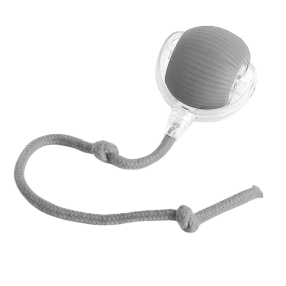 Palla interattiva intelligente per gatti -Grigio - Ozerty