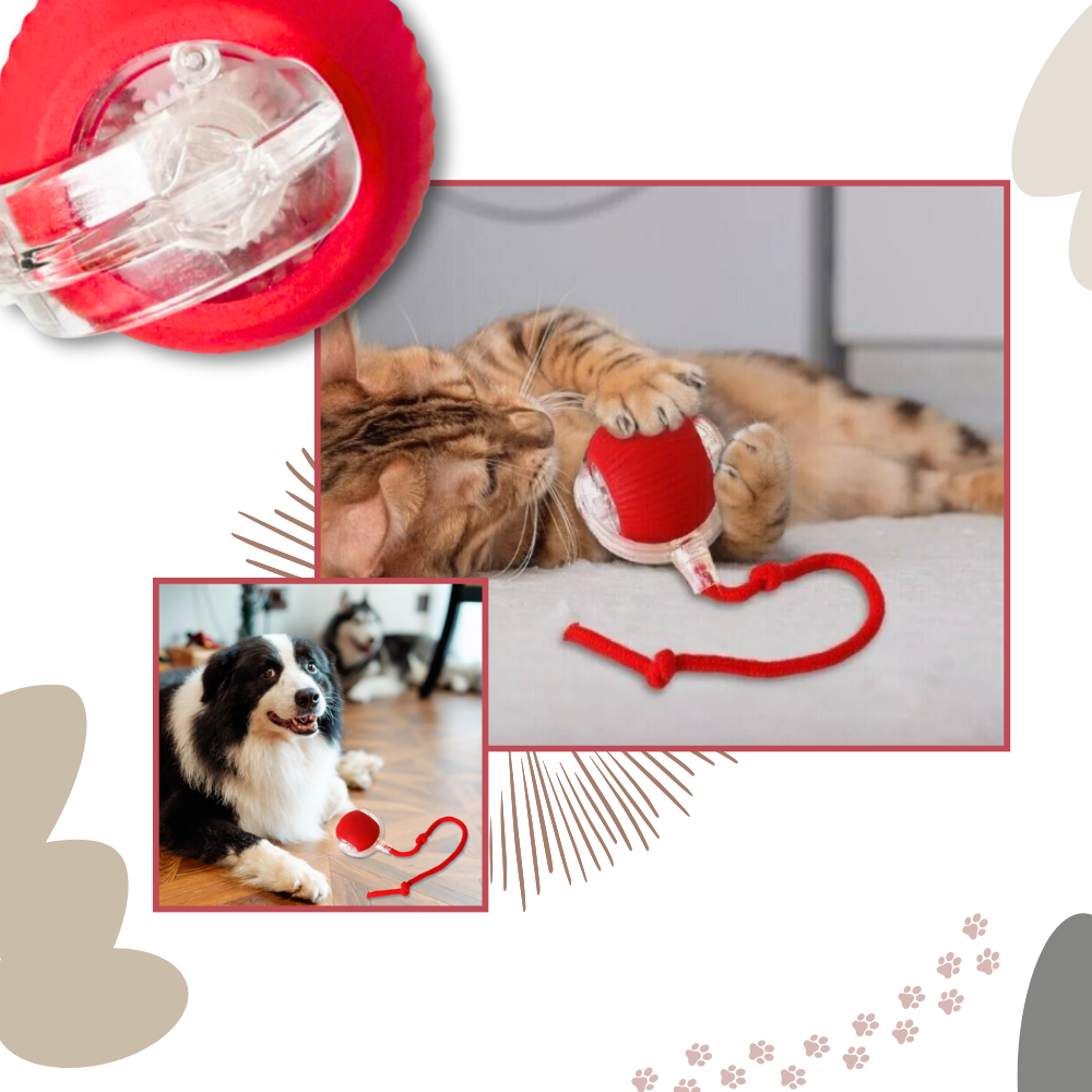 Palla interattiva intelligente per gatti - Ozerty