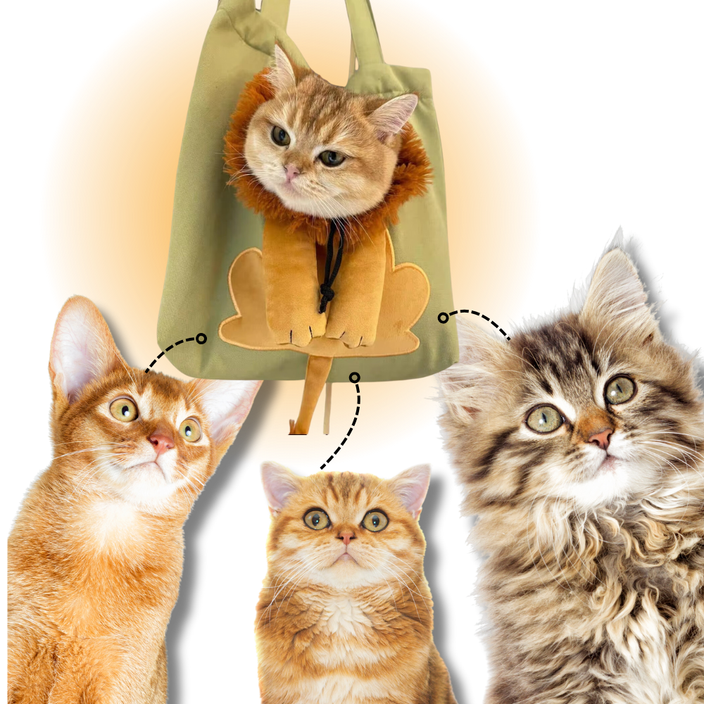 Borsa Traspirante per Gatti - Ozerty