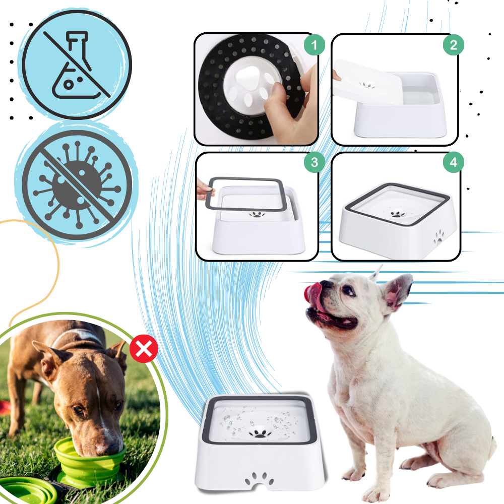 Fontanella per Cani Anti-Schizzo - Ozerty