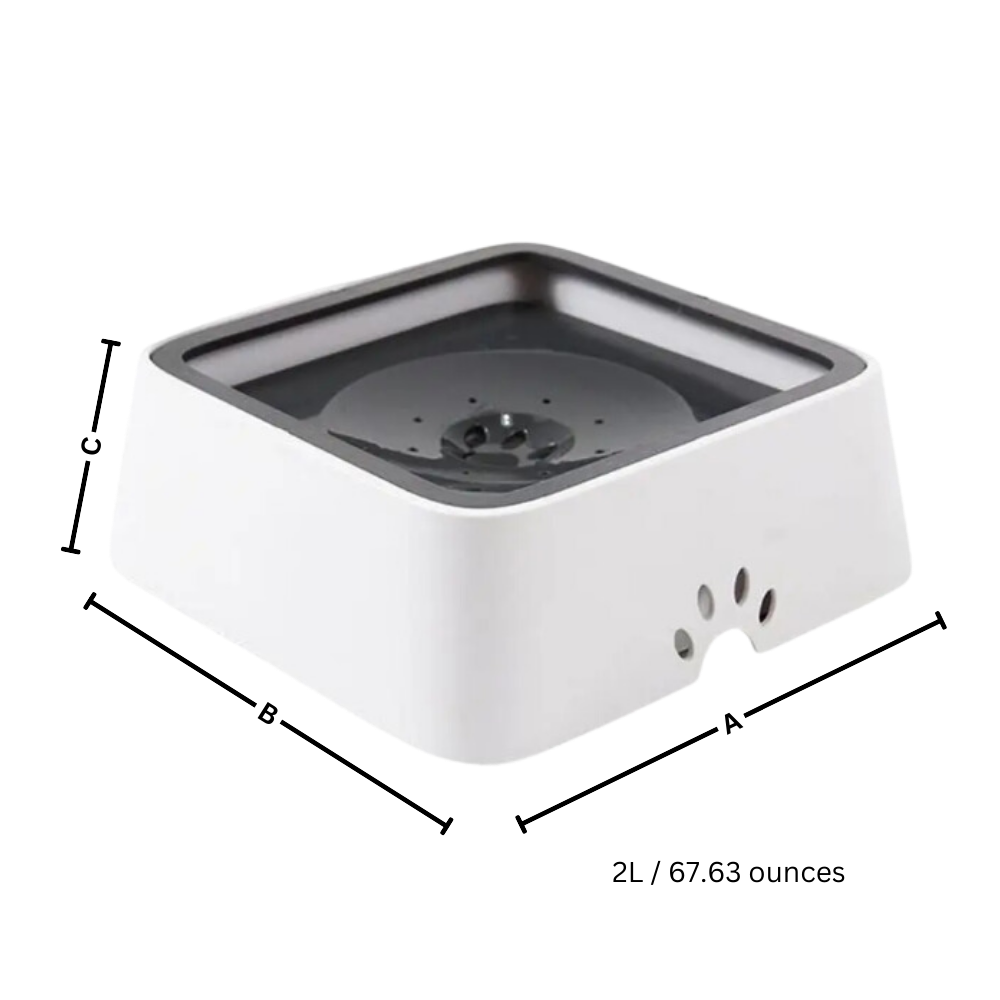 Fontanella per Cani Anti-Schizzo - Ozerty