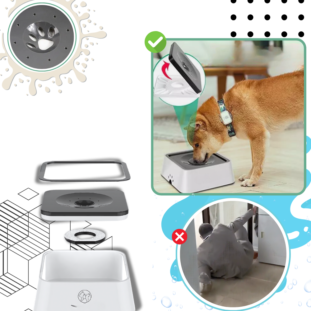 Fontanella per Cani Anti-Schizzo - Ozerty