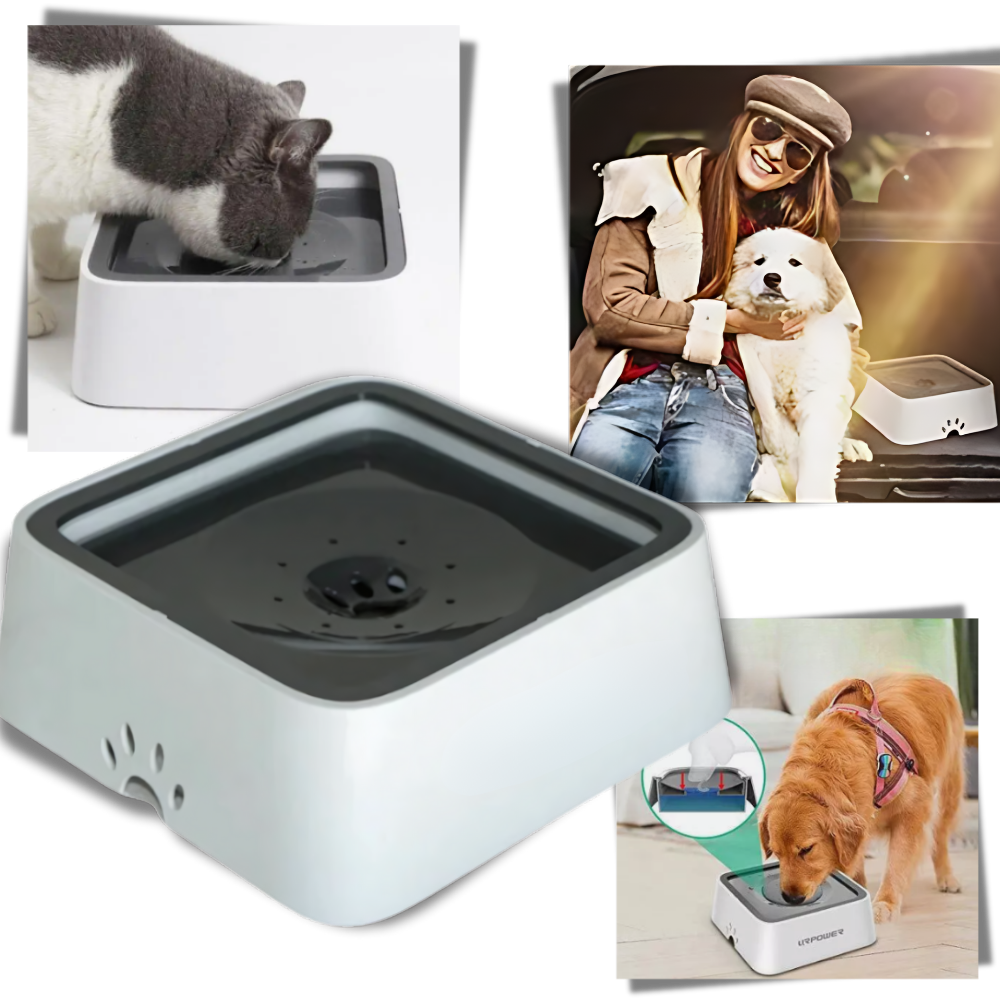 Fontanella per Cani Anti-Schizzo - Ozerty