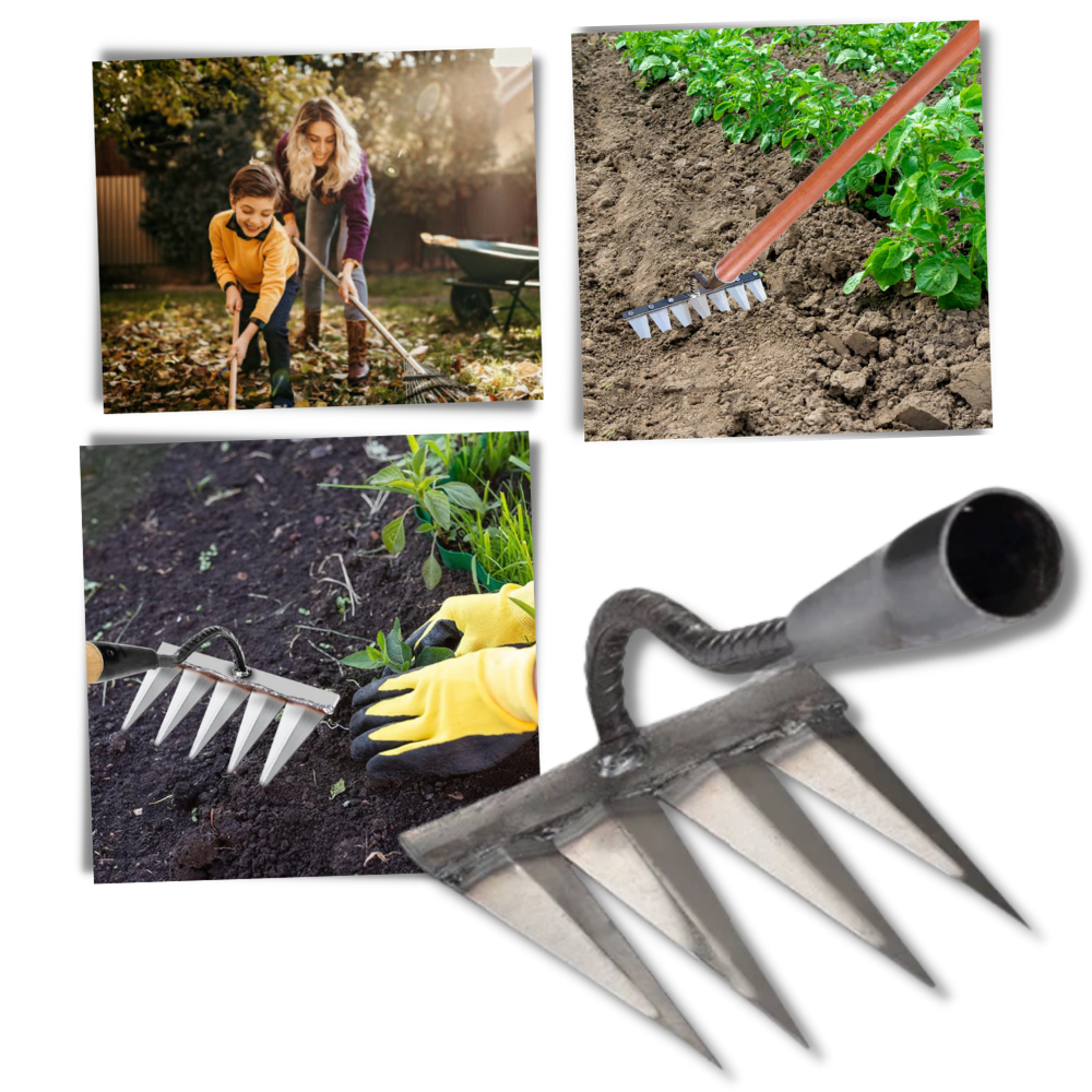 Arieggiatore salva-tempo - Ozerty