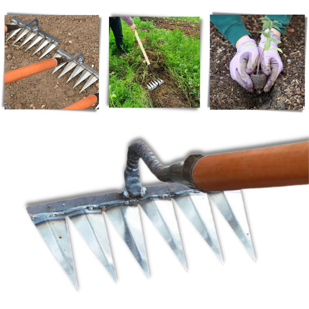 Arieggiatore salva-tempo - Ozerty