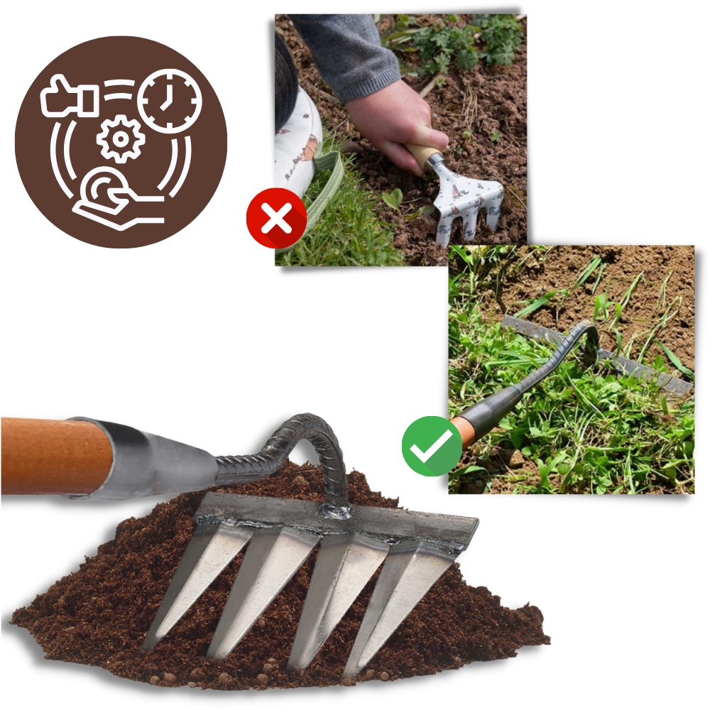 Arieggiatore salva-tempo - Ozerty