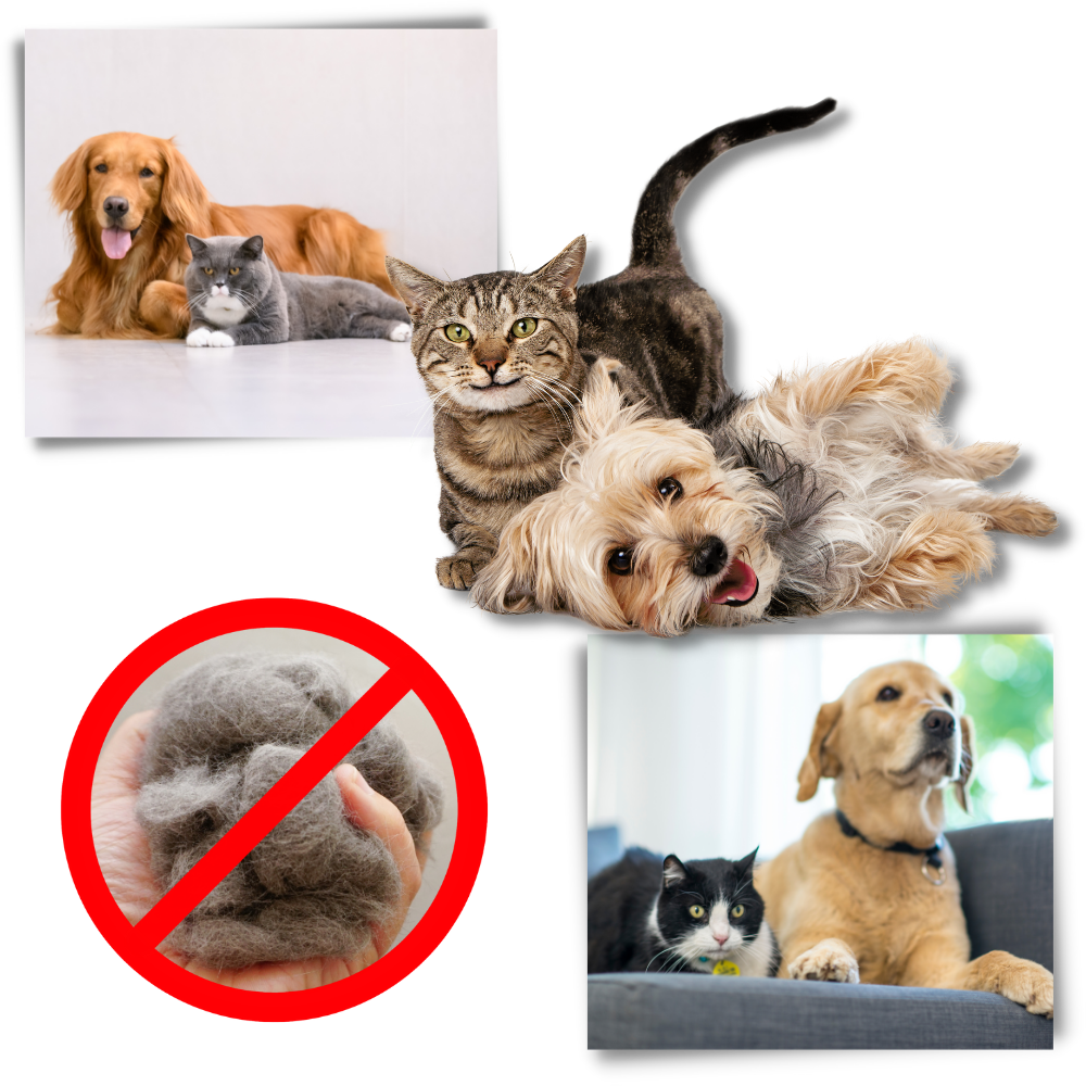 Spazzola per cani e gatti per la rimozione del pelo - Ozerty