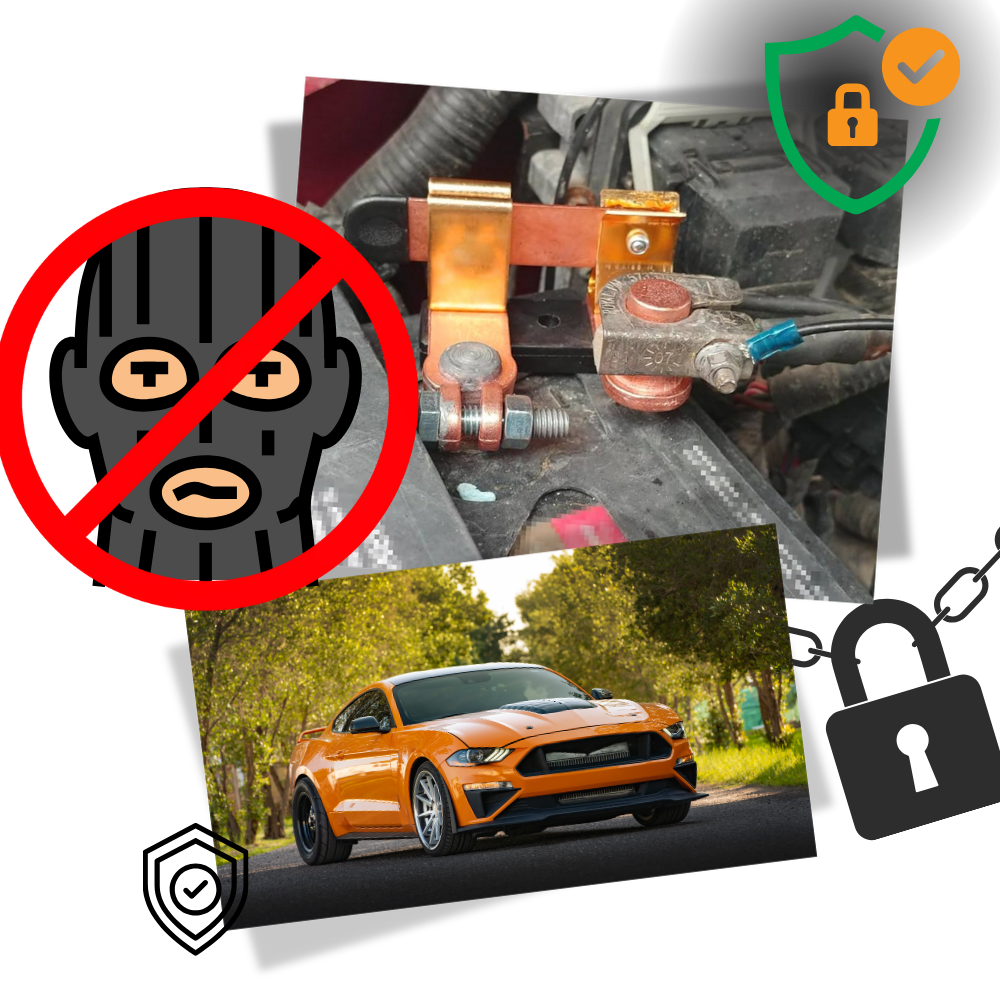 Sezionatore di Batteria Universale per Auto - Ozerty