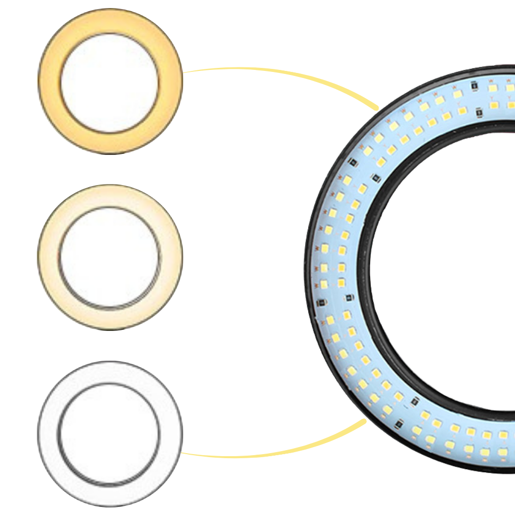 Luce ad anello a LED da 16 cm con supporto - Ozerty