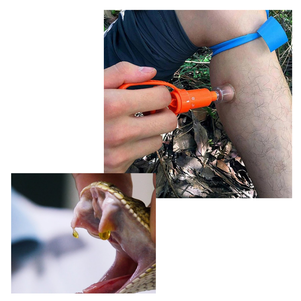 Kit di emergenza per l'estrazione del veleno - Ozerty