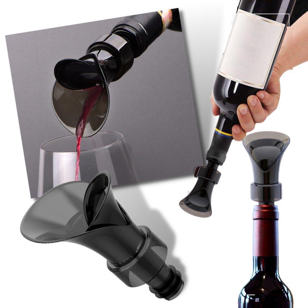 Decanter e sigillo per vino 2 in 1 - Ozerty