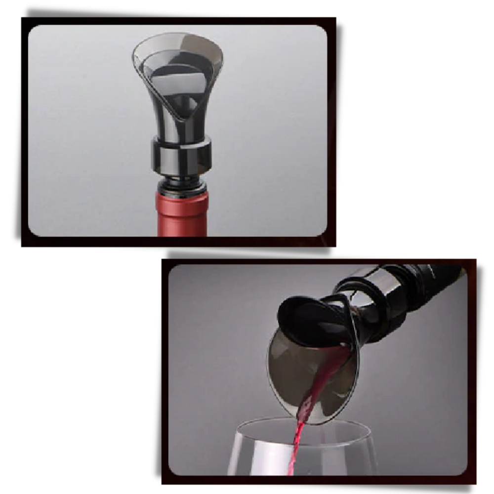 Decanter e sigillo per vino 2 in 1