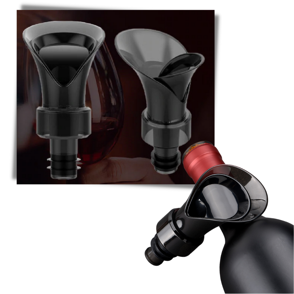 Decanter e sigillo per vino 2 in 1 - Ozerty