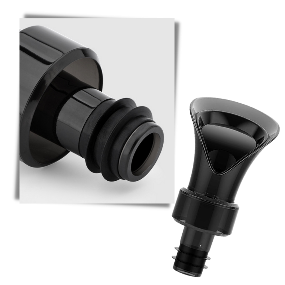 Decanter e sigillo per vino 2 in 1 - Ozerty