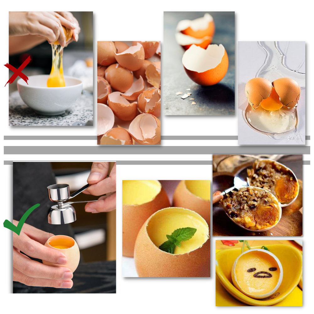 Apribottiglie a guscio d'uovo - Ozerty