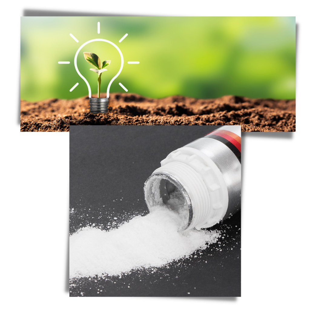 Attraente esca per pesci