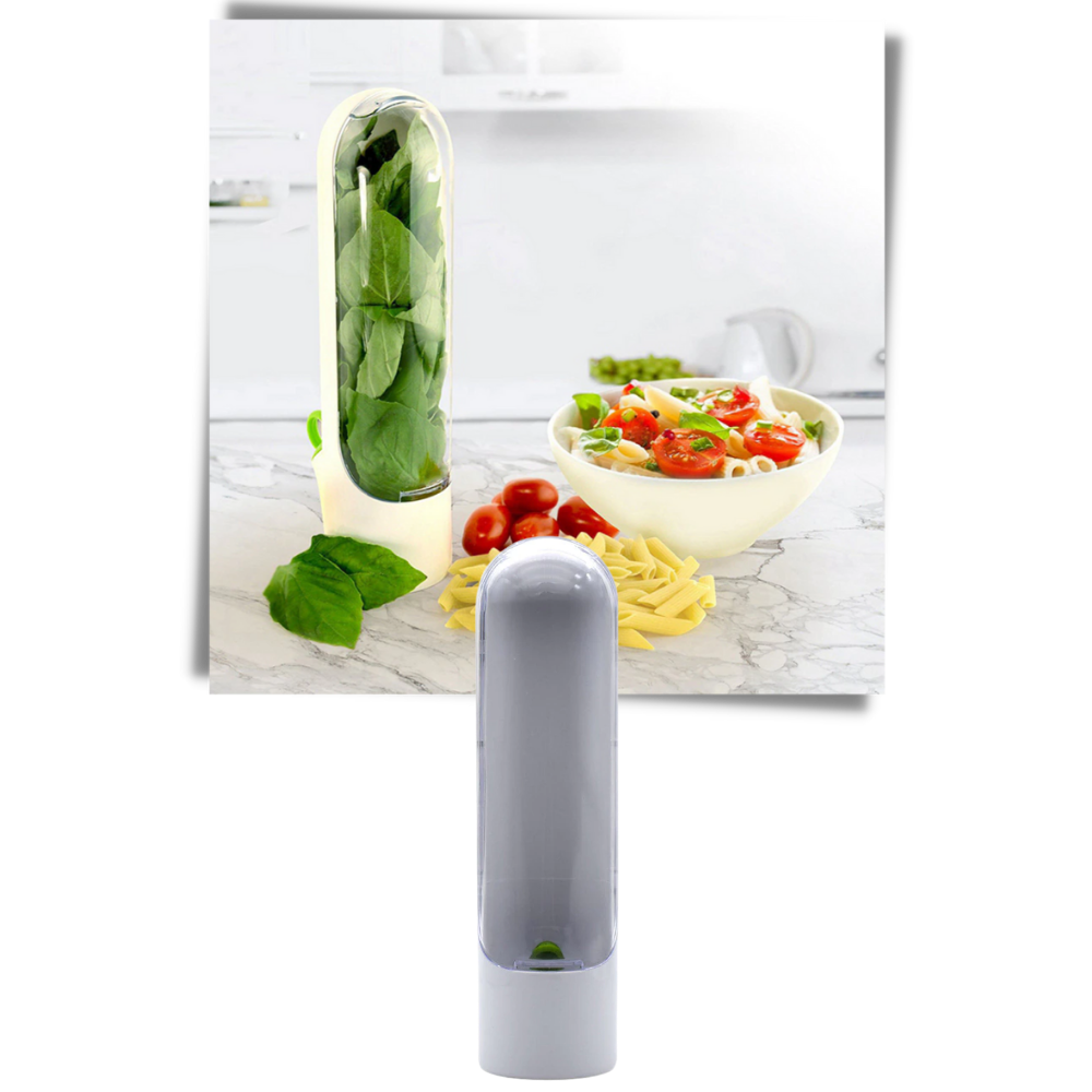 Contenitore per la conservazione delle erbe fresche - Ozerty