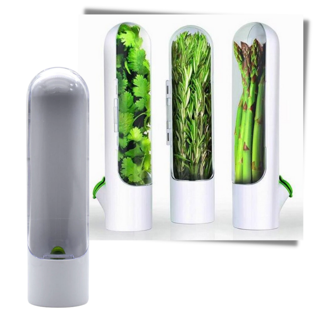 Contenitore per la conservazione delle erbe fresche - Ozerty