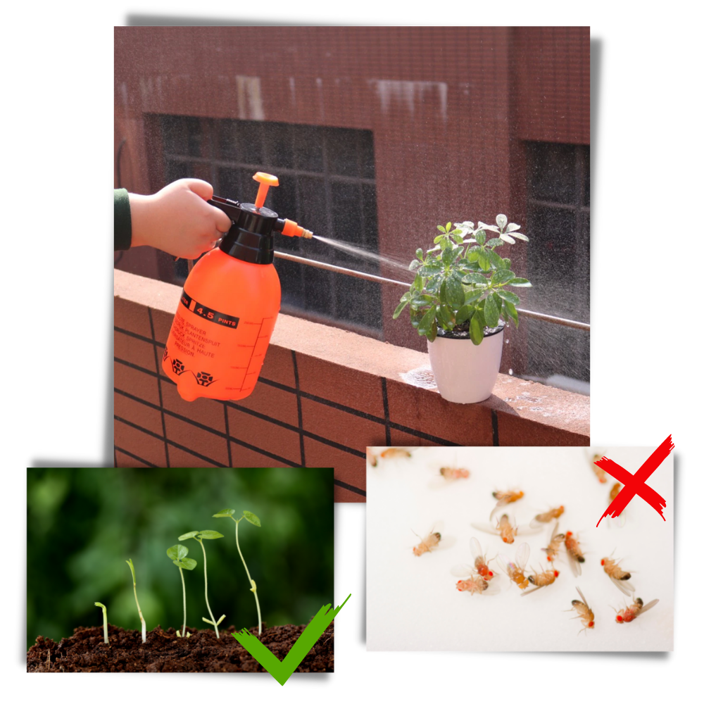 Pompa irroratrice da giardino - Ozerty