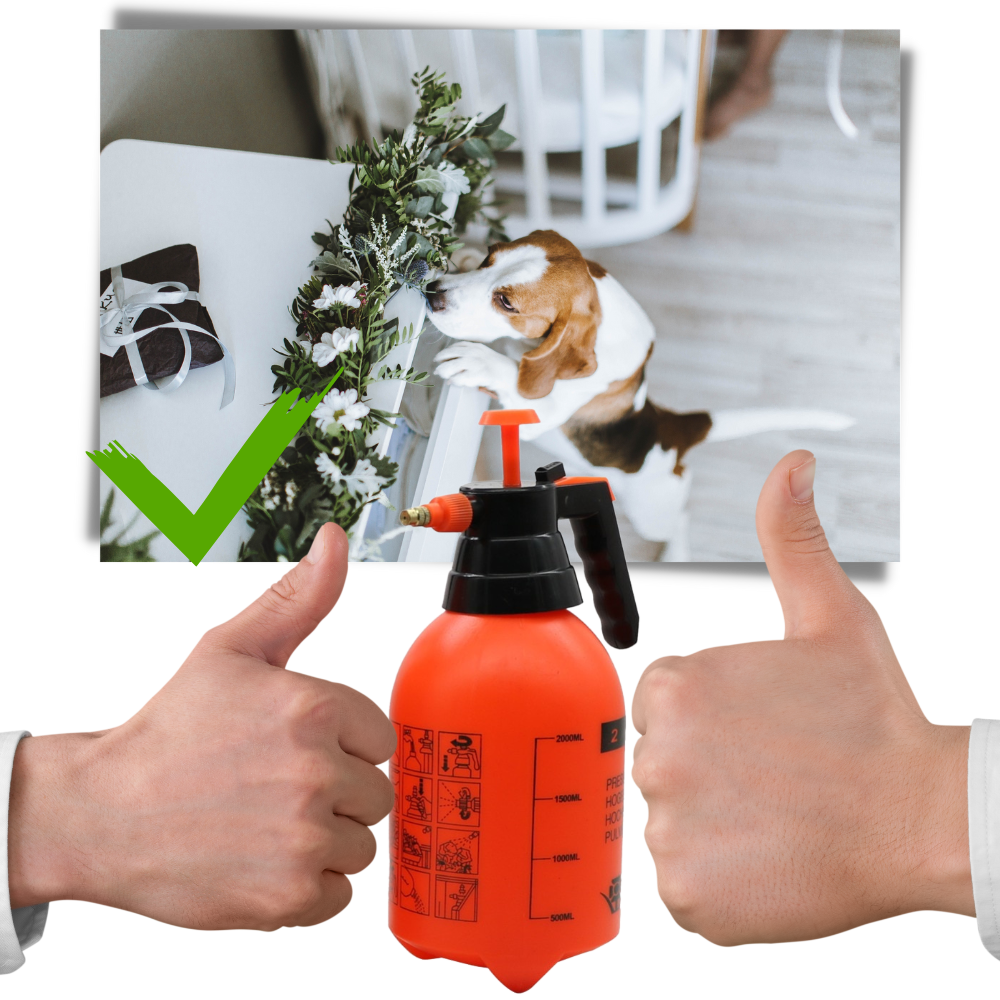 Pompa irroratrice da giardino - Ozerty