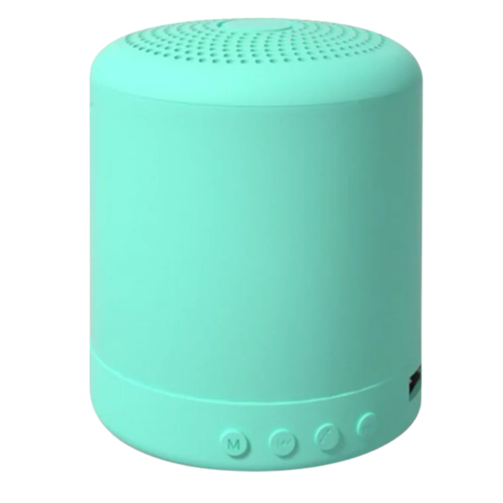 Bluetooth mini speaker