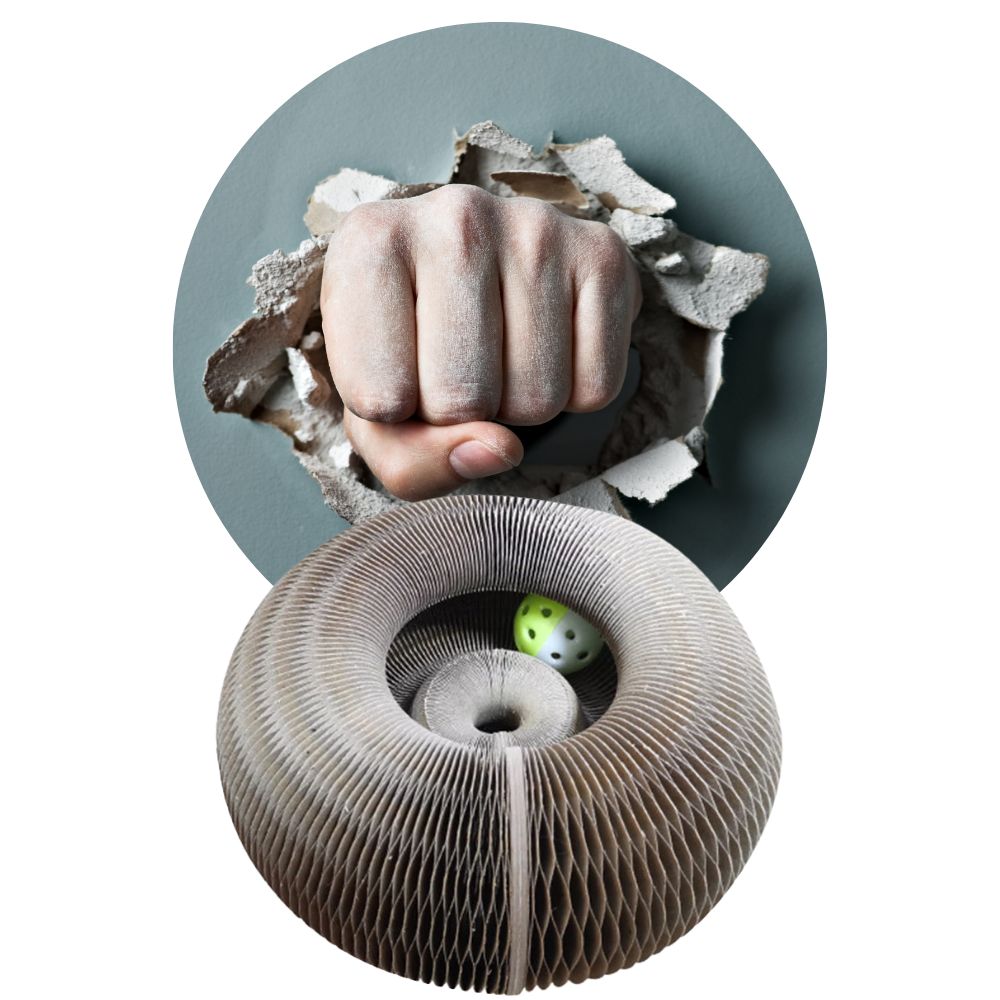 Tiragraffi per gatti - Ozerty