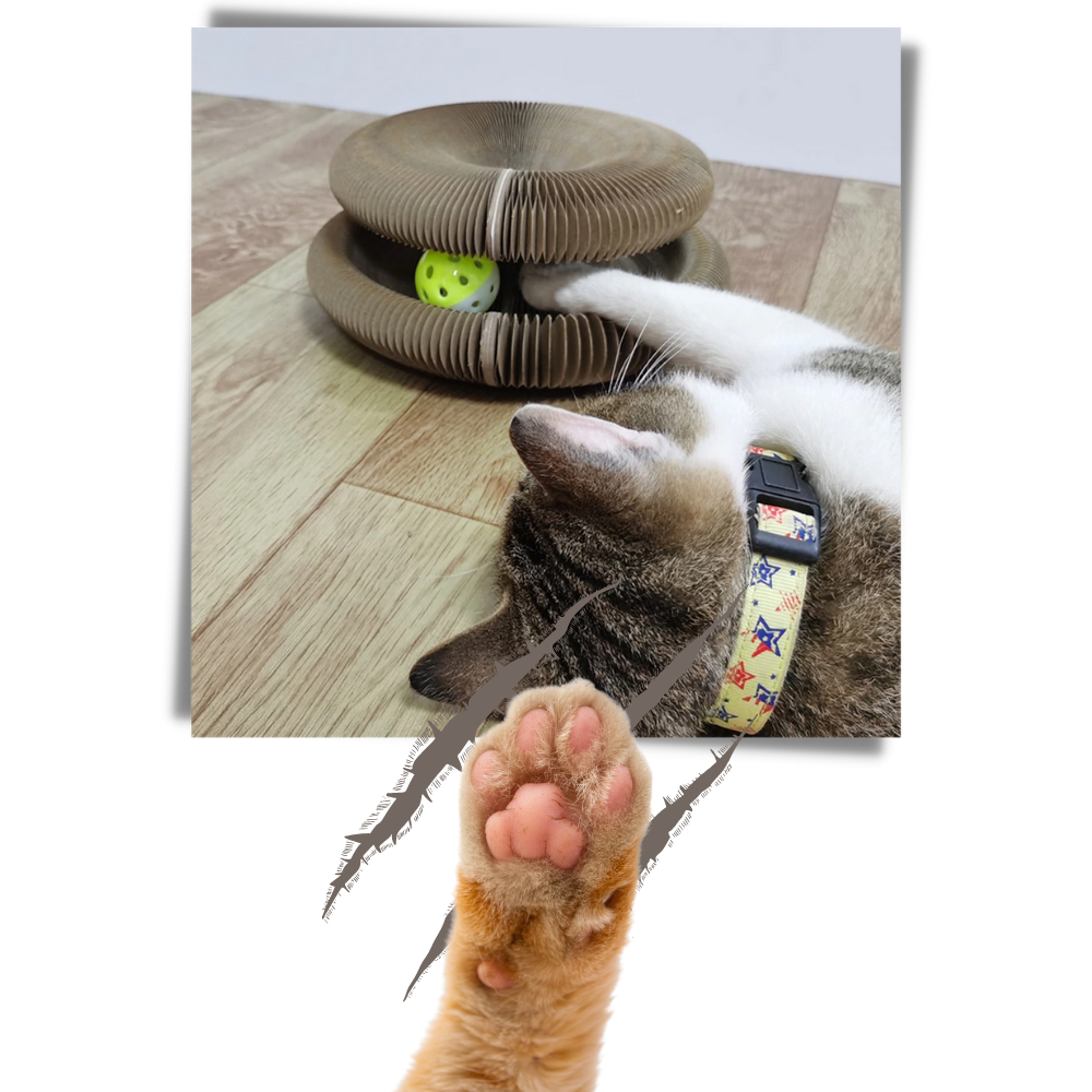 Tiragraffi per gatti - Ozerty