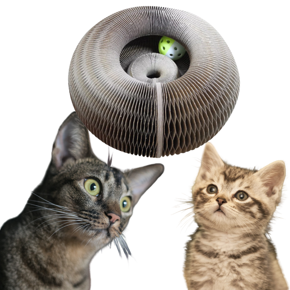 Tiragraffi per gatti - Ozerty