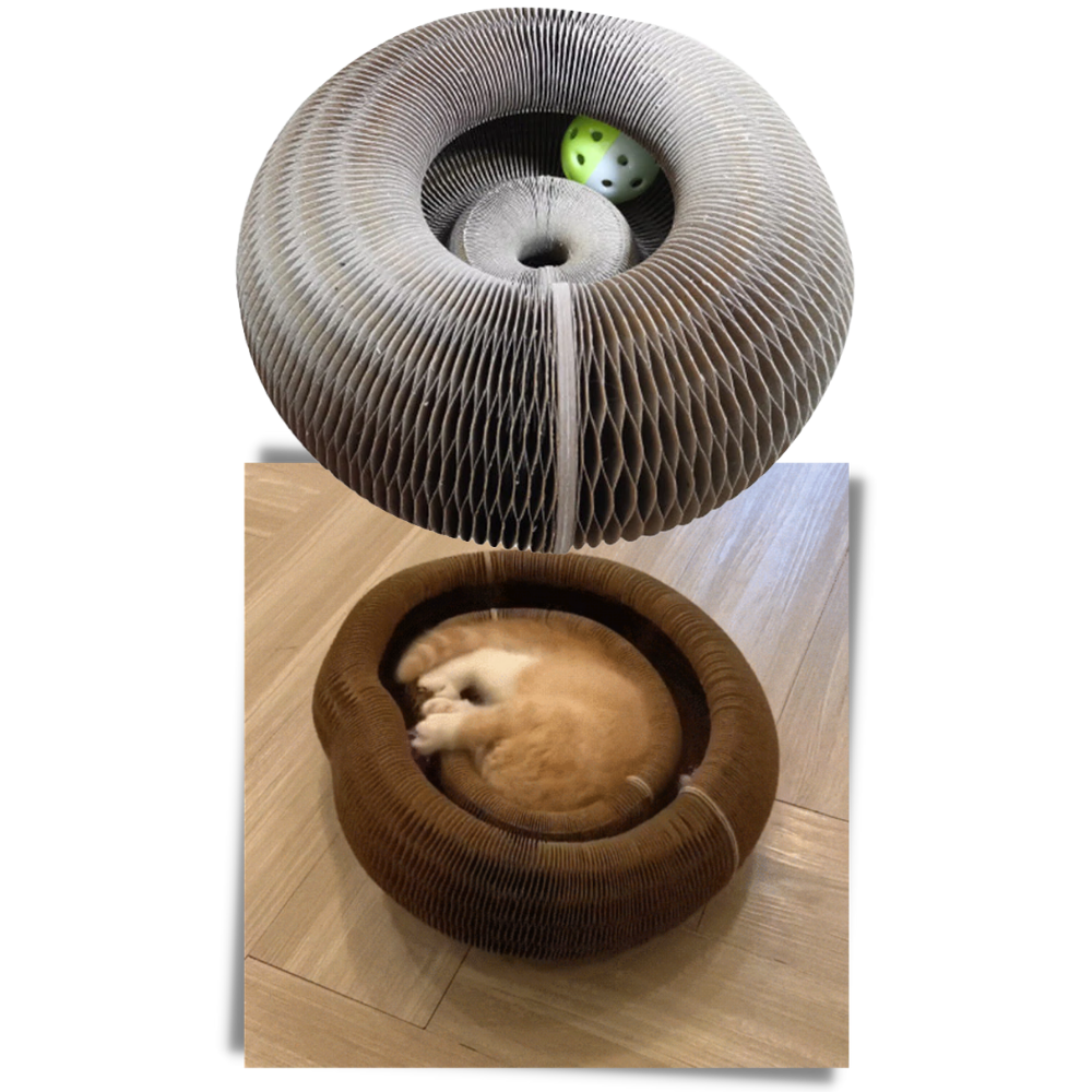 Tiragraffi per gatti