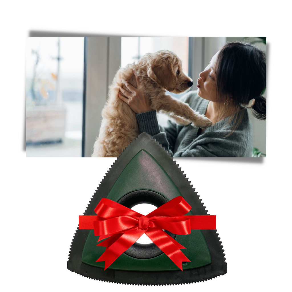 Eccellente rimuovi-peli di animali domestici - Ozerty