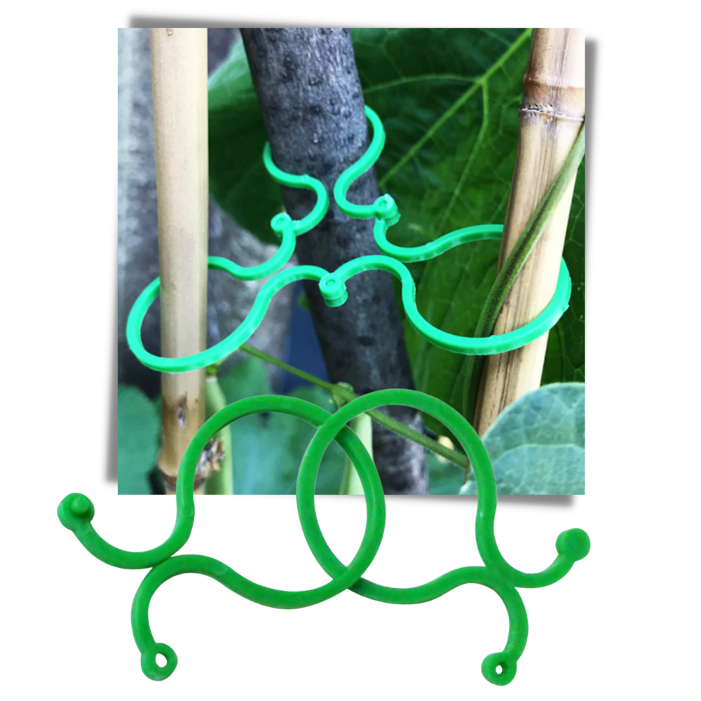 Confezione di fermi per piante da giardino - Ozerty